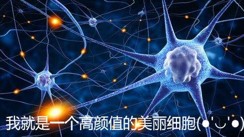 北大金牌學(xué)長(zhǎng)經(jīng)驗(yàn)分享 從北大生科來(lái)到北京協(xié)和醫(yī)學(xué)院