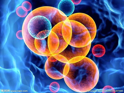 2016年全球生物技術綜合競爭力評價之創(chuàng)新環(huán)境