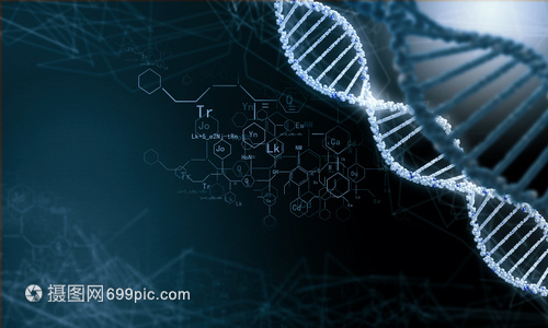 DNA分子高科技DNA分子的生物化學背景