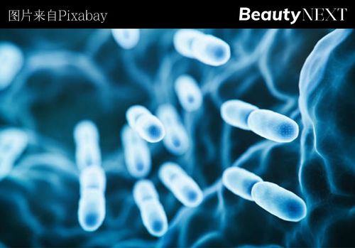 首次收購生物科技公司,歐萊雅瞄準 后生元