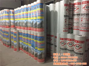 丙綸防水卷材 晟諾防水廠的專業(yè)施工與應用